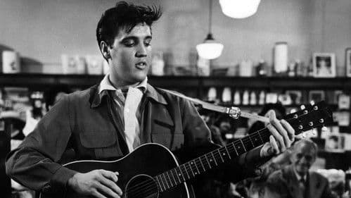 Mein Leben ist der Rhythmus Bild 4