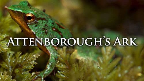 Attenborough's Ark Bild 2