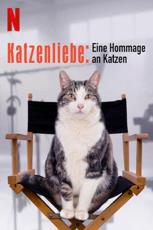 Katzenliebe: Eine Hommage an Katzen