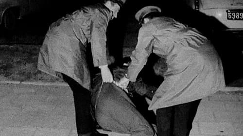 Zwyczajny kraj Bild 4