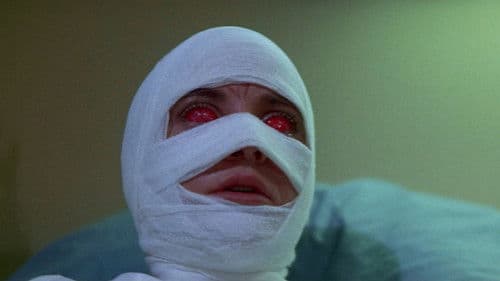 Draculas Todesrennen Bild 4