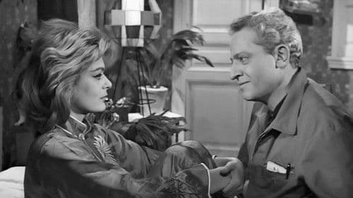 Sonntags… nie! Bild 8