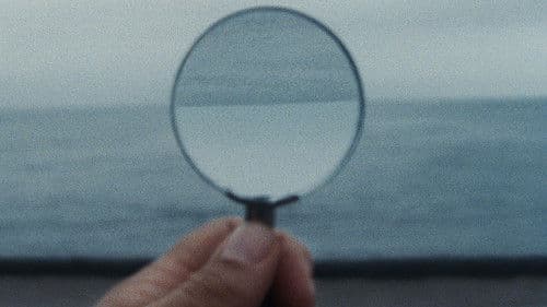 A Metamorfose dos Pássaros Bild 6