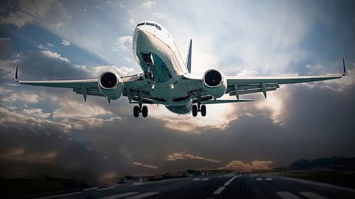 Planes Gone Viral Bild 2