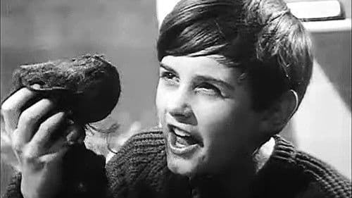 The Corpse Can't Play Bild 2