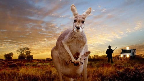 Kangaroo: A Love-Hate Story Bild 1