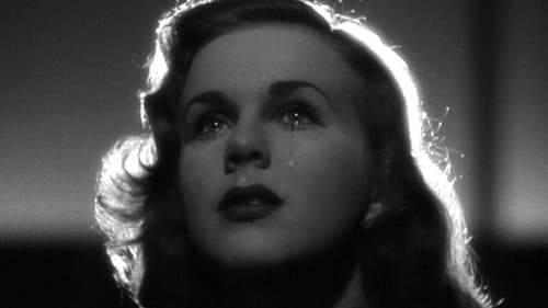 Weihnachtsurlaub Bild 5