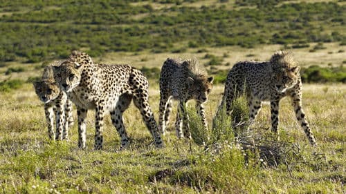 Wunder des Lebens Bild 5