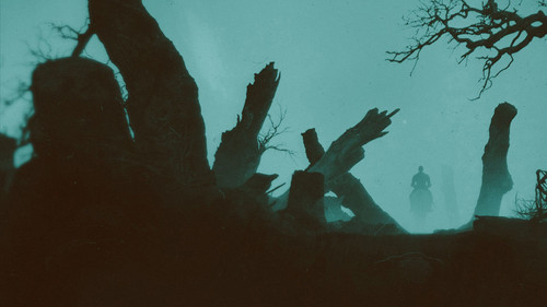 Moartea și Cavalerul Bild 4