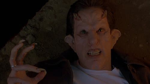 Manchmal kommen sie wieder 2 Bild 8