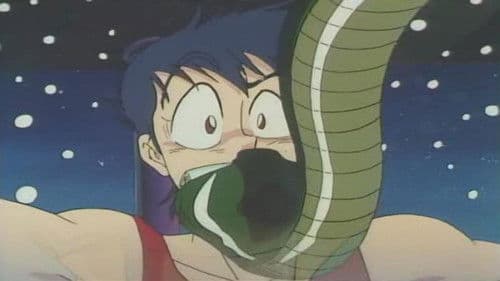 究極のSEXアドベンチャー カーマスートラ Bild 1