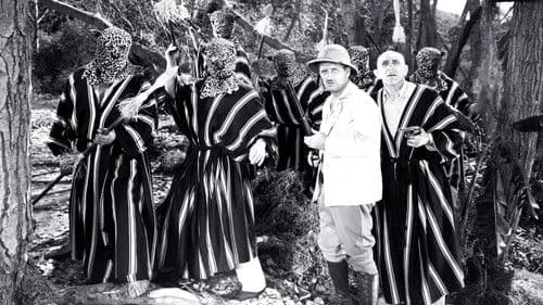 Terry and the Pirates Bild 1