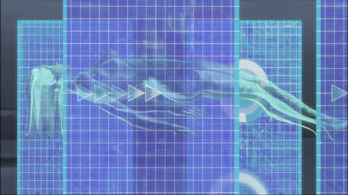 Rockman.EXE - The Program of Light and Darkness Bild 3