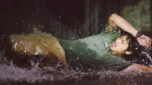 โบอา งูยักษ์ Bild 2