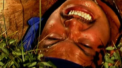 Уулын төмөр Bild 2