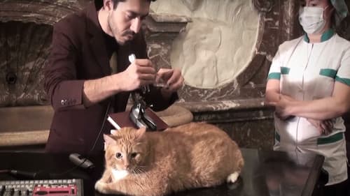 Metacinema appliqué Bild 1