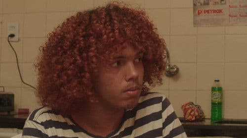 Andorinha Só Não Faz Verão Bild 4