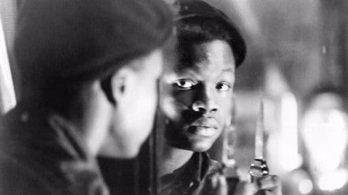 The Cool World Bild 1