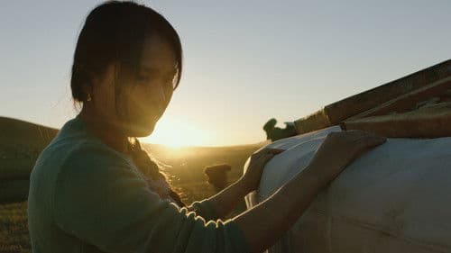 Die Adern der Welt Bild 3