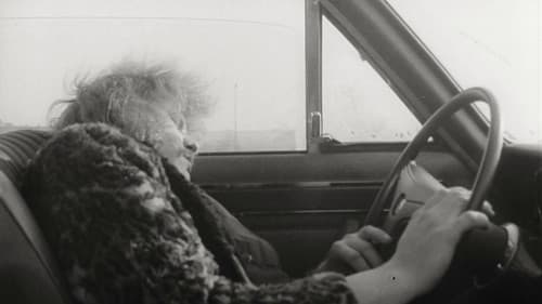 Auf Scheisser schiesst man nicht Bild 2