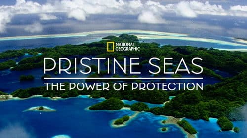 Pristine Seas Project: Zum Schutz der Meere Bild 6