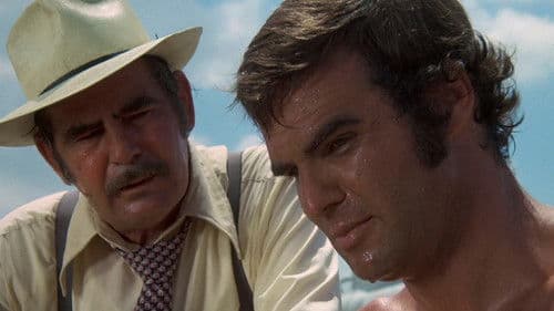 Der Tiger hetzt die Meute Bild 2