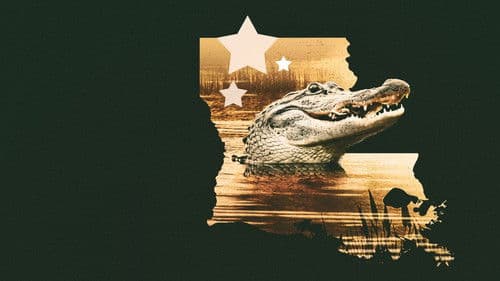 Louisiana Law Bild 2