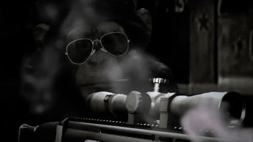 Chop Chop Chang: Operation C.H.I.M.P Bild 1