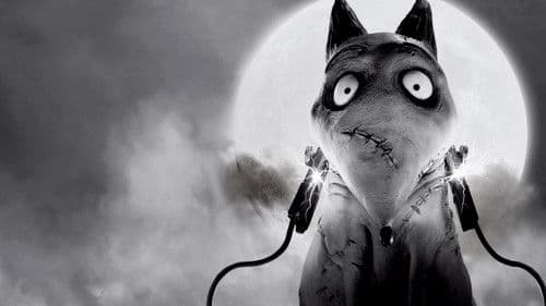 Frankenweenie Bild 3