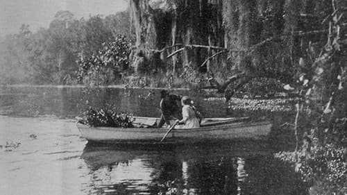 The Suwanee River Bild 1