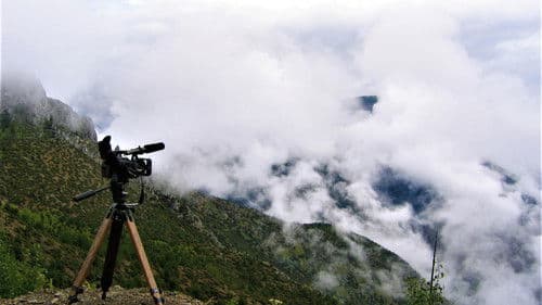 Invisible World Bild 5