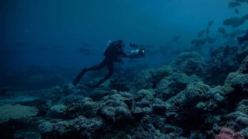 Night on Earth: Shot in the Dark Bild 2