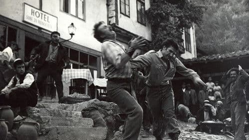 Dr. Homers Bruder Bild 3