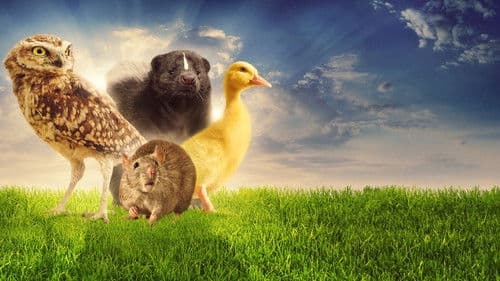 Unsere winzigen Nachbarn Bild 2