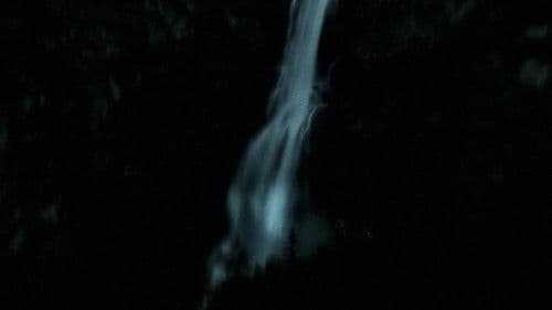 Sleep Has Her House Bild 2