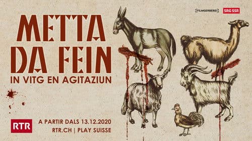 Metta da fein Bild 2