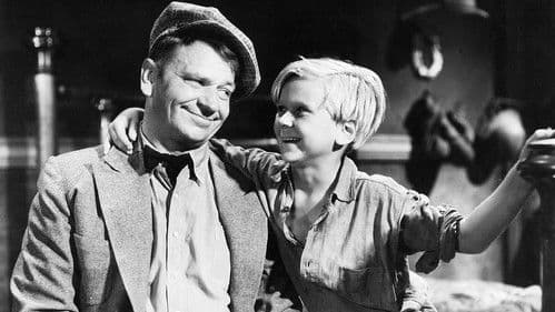 O'Shaughnessy's Boy Bild 1