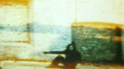 In the Shadow of the Sun Bild 2