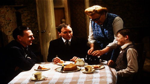 Shine on Harvey Moon Bild 4