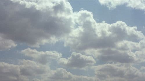 The Straight Story - Eine wahre Geschichte Bild 5