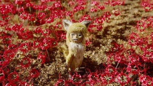 劇場版 ごん Bild 1