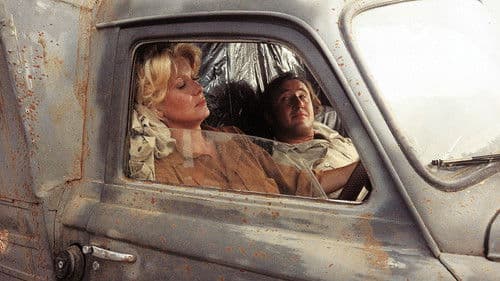 Der Buschpilot Bild 4