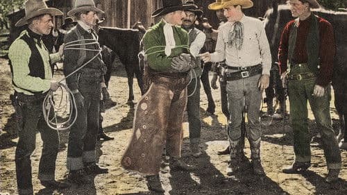 Code of the Cow Country Bild 1