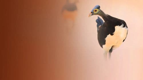 Inseln wie im Paradies Bild 3