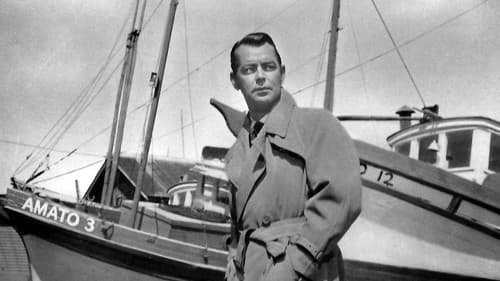 Blutige Straße Bild 4