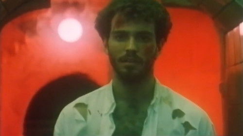 Spider Labyrinth - In den Fängen der Todestarantel Bild 1