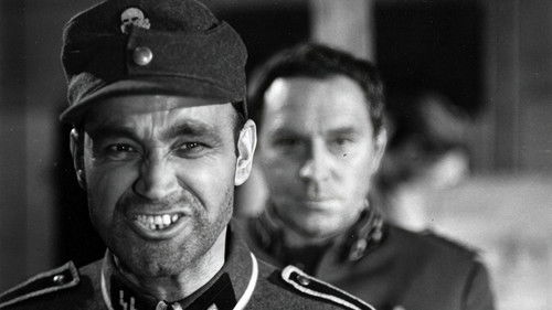 Ostatni świadek Bild 2