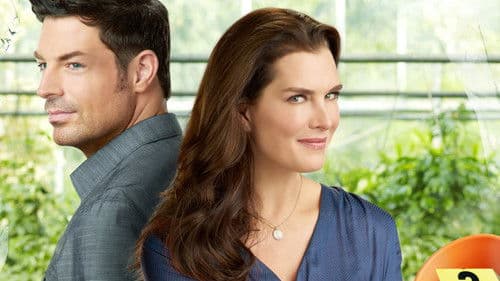 Blumenkrimi: Schwarze Rosen Bild 3