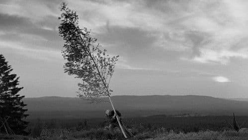 Die Jungfrauenquelle Bild 3