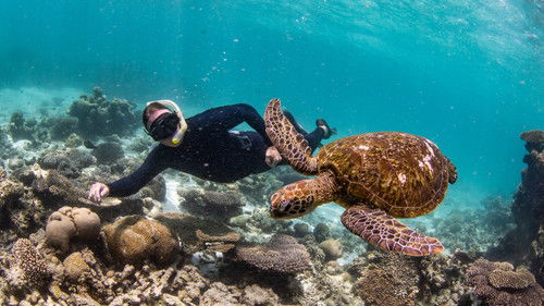 Ningaloo Nyinggulu Bild 5